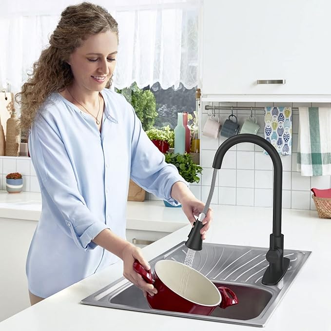 PHICHI Matte Black Kitchen Faucet